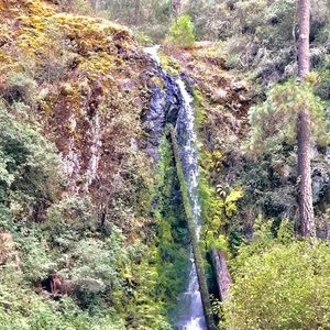 Meet your Posher, Juana